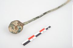 Foto von Bronzekugelkopfnadel (NHMW-PRAE-026576)
